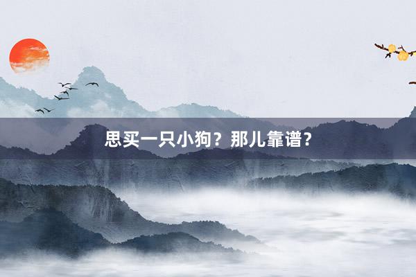 思买一只小狗？那儿靠谱？