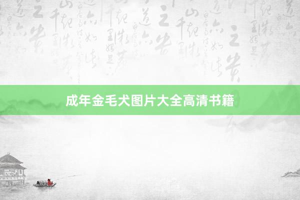 成年金毛犬图片大全高清书籍
